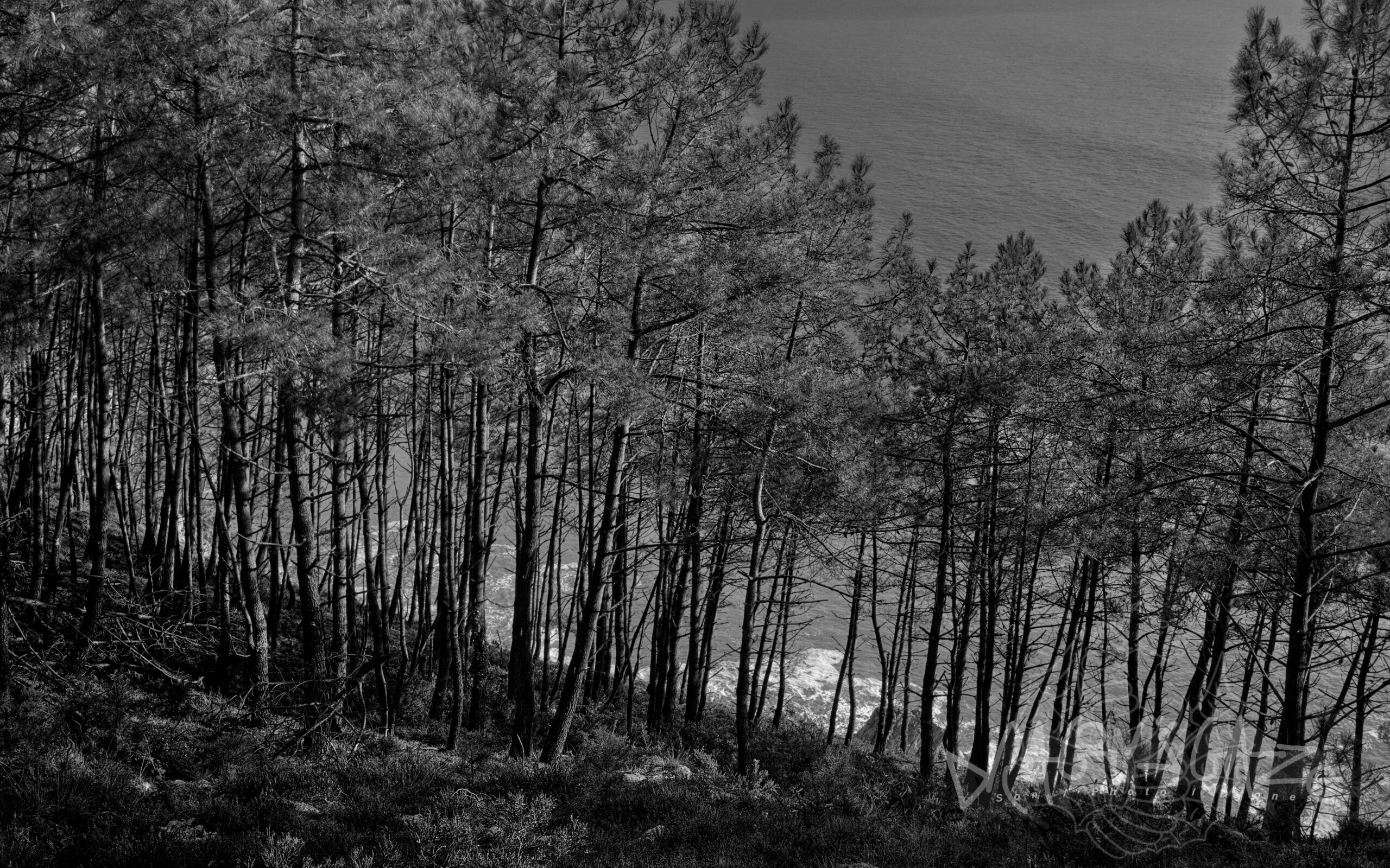 #bretagne , #outdoorphotography , #naturephotography , #wildnature , #ocean , #fishingboat , #atlanticocean , #canonphotography , #simpleisbeautifulphotography ,
#photographers , #capdelachevre , #presquiledecrozon